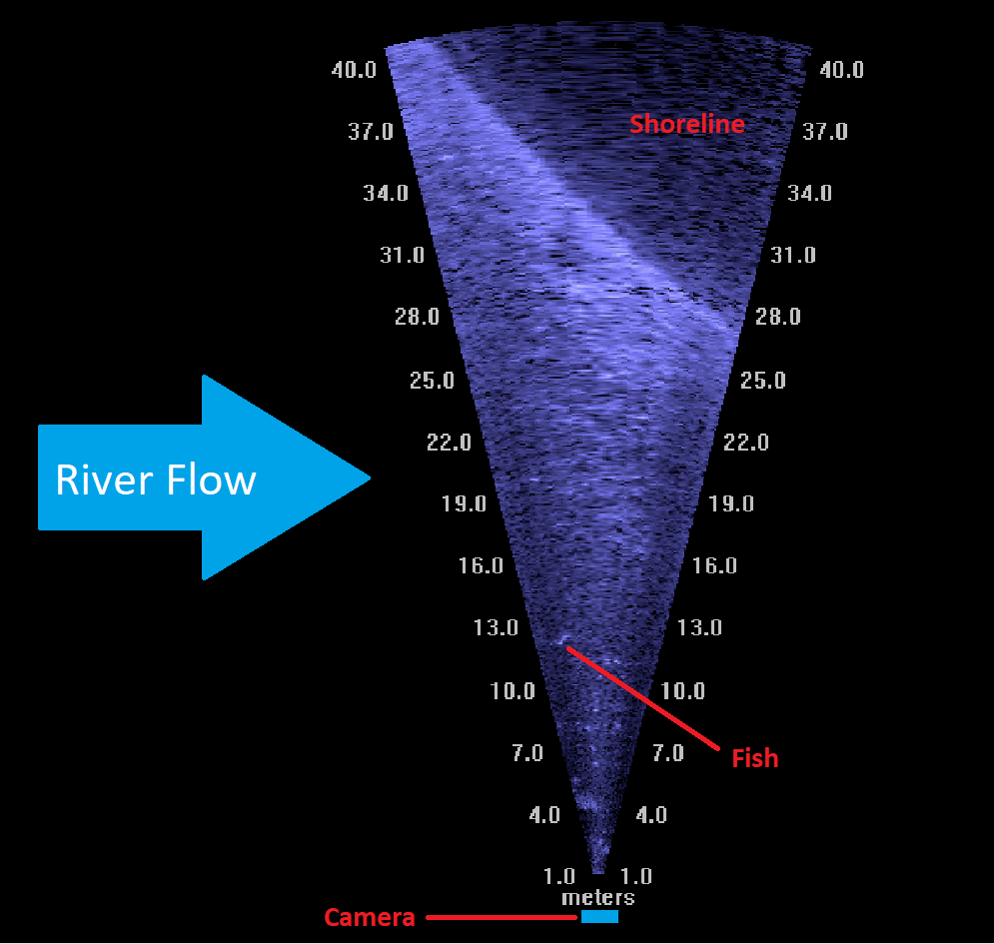 Sonar image showing the camera, shore line, river flow, and a fish